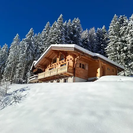 Panorama Prestige By Mrs Miggins *